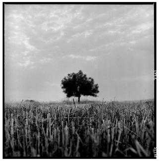 Develiki, Halkidiki, Greece