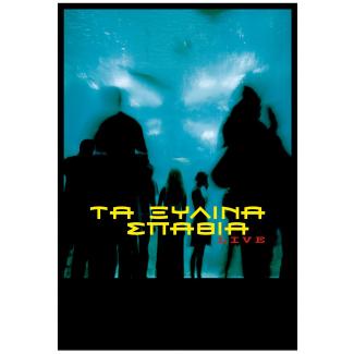 Xilina Spathia, 1999