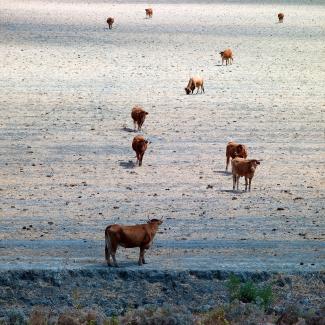 Thessaly, Greece, 2011