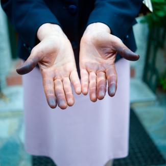 Sykourio, Greece, 2008