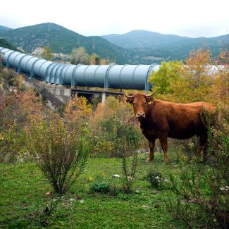 Pieria, Greece, 2008