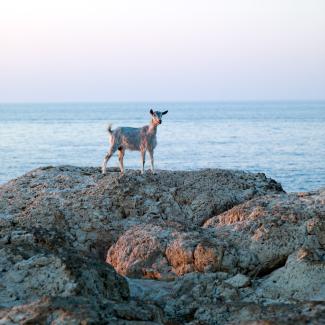 Samothraki, Greece, 2010