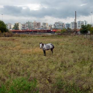 Thessaloniki, Greece, 2014