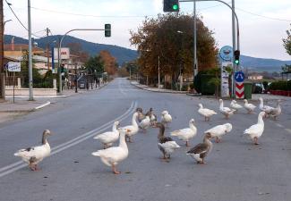 Lake Volvi, Greece, 2020