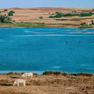 Lemnos, Greece, 2011